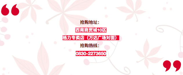 瀘州西南商貿城